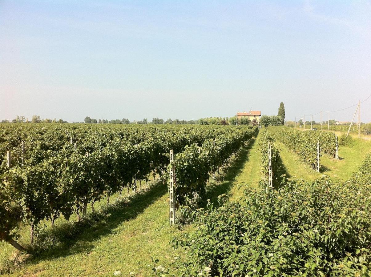 Cascina Tabachera X10 Country House Sirmione Garda Lake Pozzolengo Pokój zdjęcie